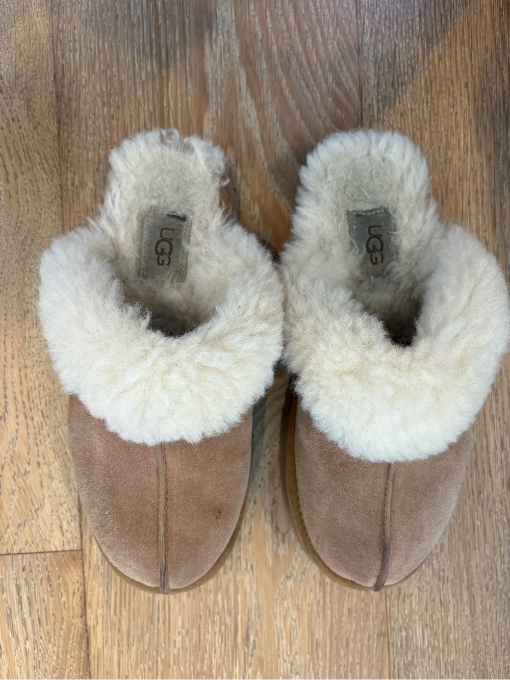 UGG Chestnut Suede Shearling Clog Slippers with Cream Fur